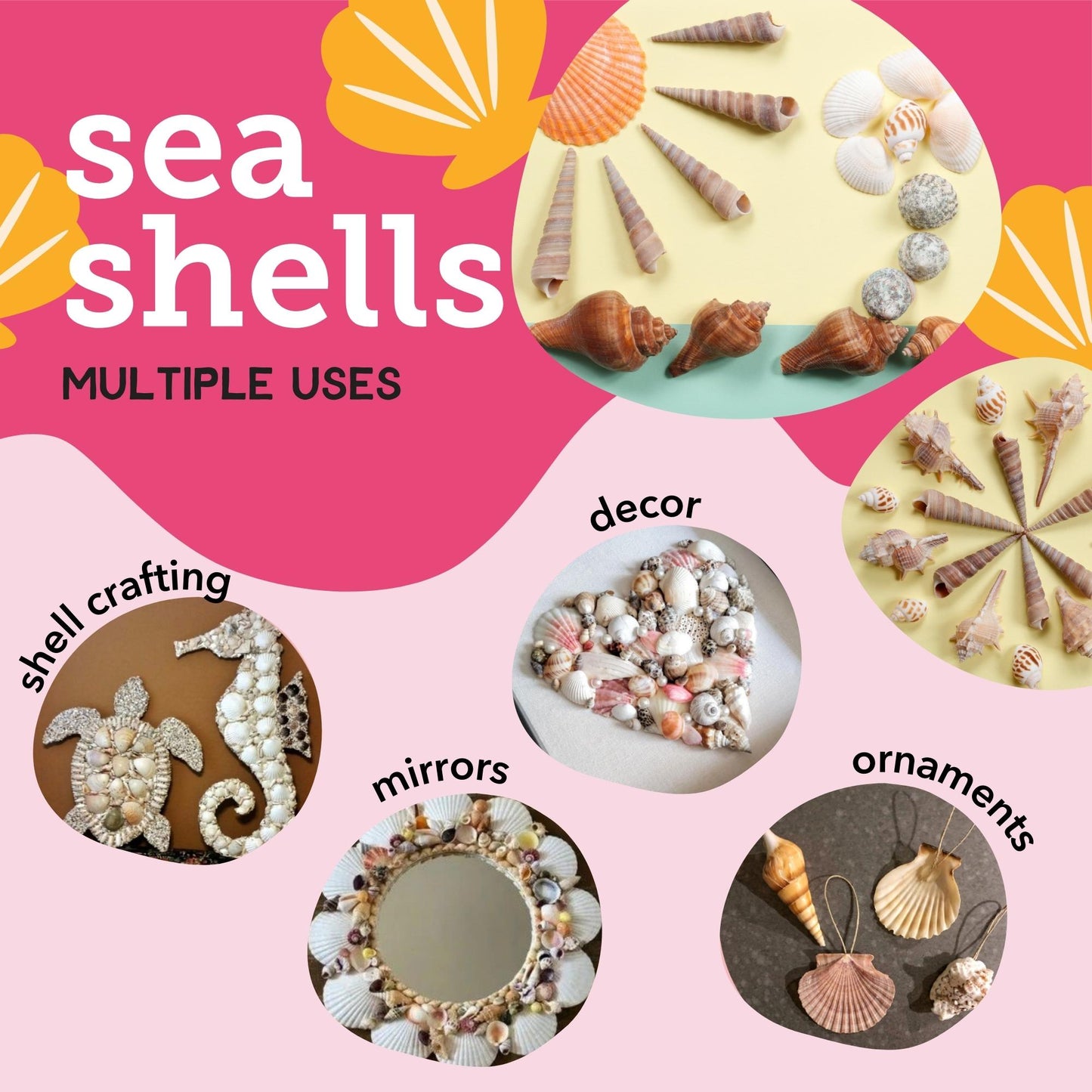 Image of Multiple Uses for Bulk Sea Shells | Caption-Multiple Uses for Bulk Sea Shells