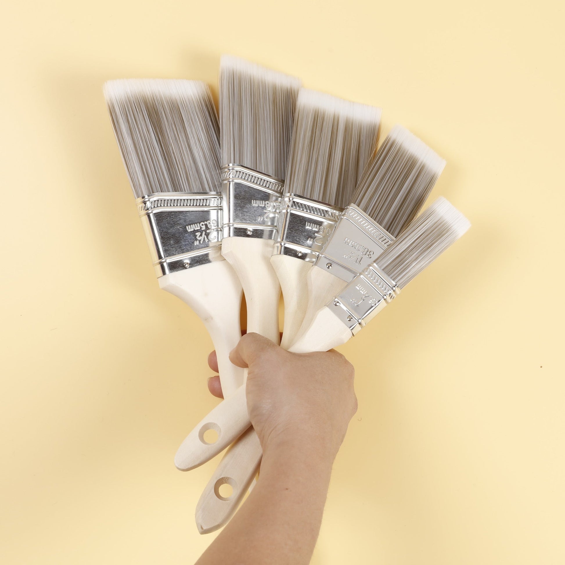 Image of Bulk Chalk Paint Brush Close-up Display | Caption-Bulk Chalk Paint Brush Close-up Display