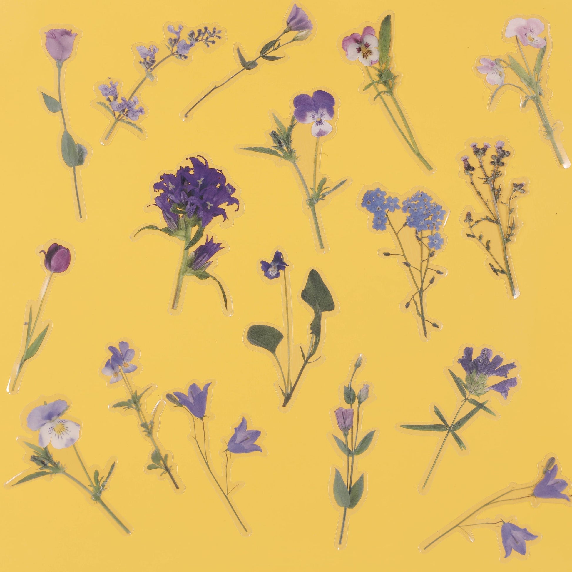 Image of Bulk Flower Stickers on Blue Background